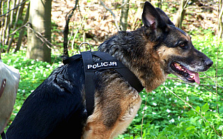 Kobieta i jej dziecko odnaleźli się Kobieta i jej dziecko odnaleźli się